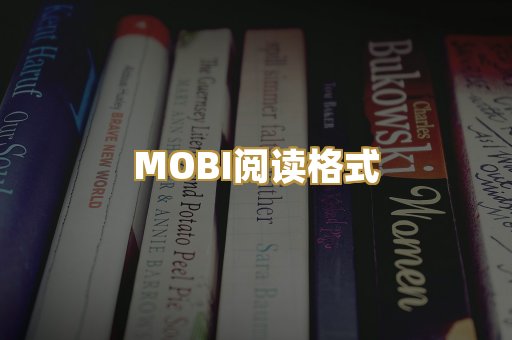 MOBI阅读格式